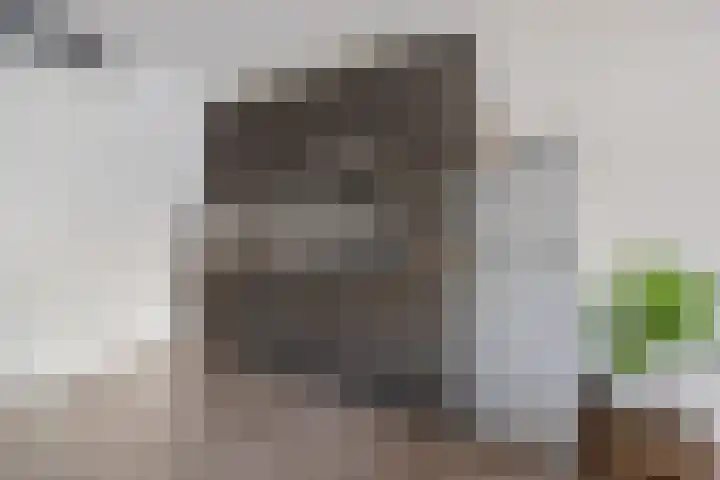 Pelmolenhof 3 Breda thumbnail 22