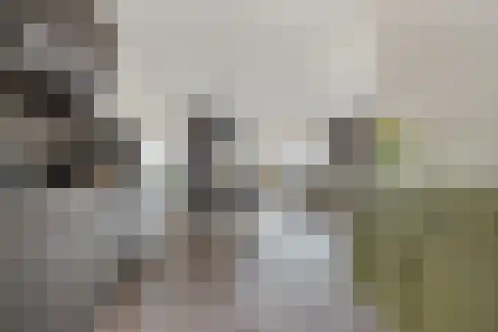 Pelmolenhof 3 Breda thumbnail 23