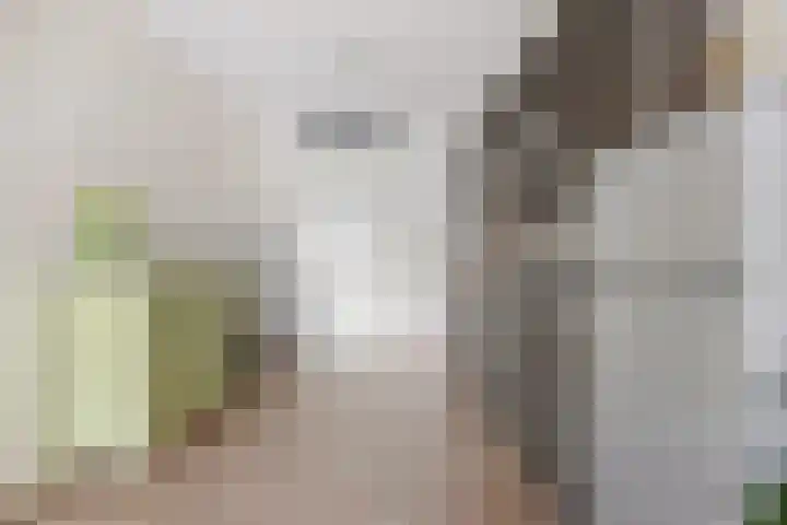 Pelmolenhof 3 Breda thumbnail 26