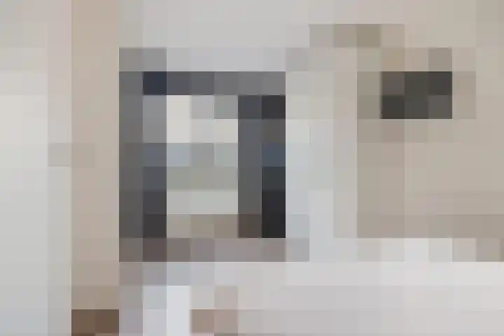 Pelmolenhof 3 Breda thumbnail 31