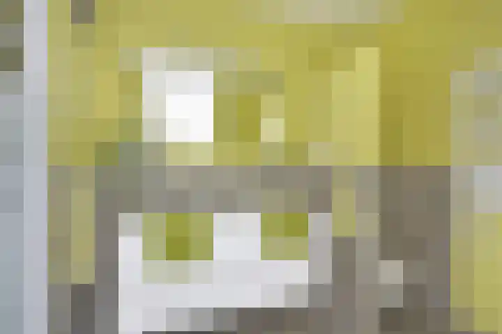 Pelmolenhof 6 Breda thumbnail 11