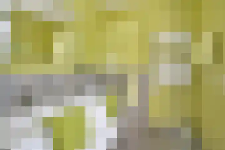 Pelmolenhof 6 Breda thumbnail 12