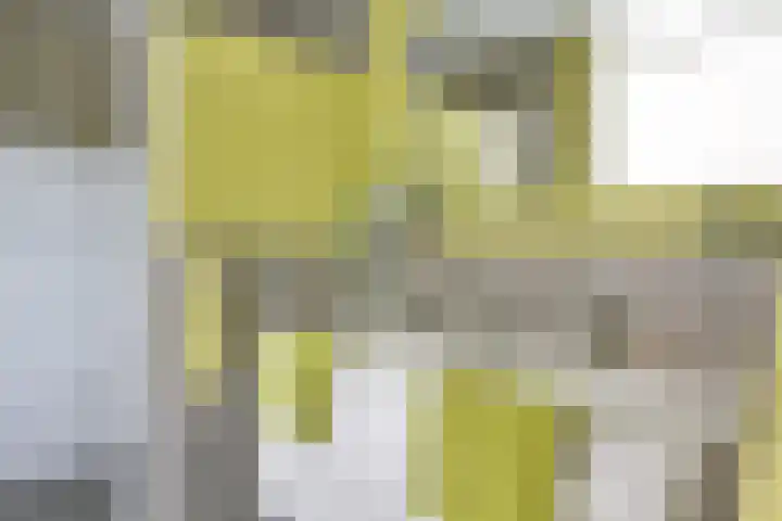 Pelmolenhof 6 Breda thumbnail 13
