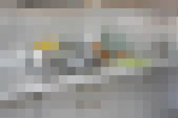 Pelmolenhof 6 Breda thumbnail 23