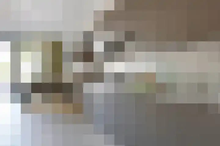 Pelmolenhof 6 Breda thumbnail 24