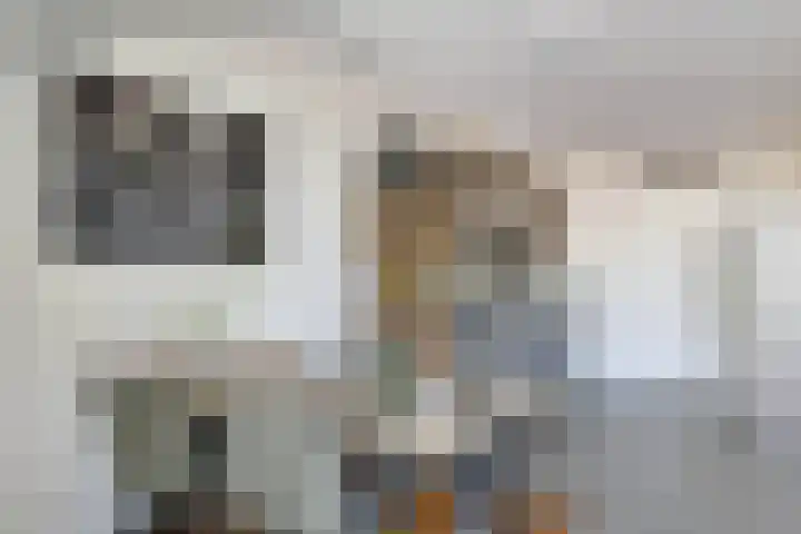 Pelmolenhof 6 Breda thumbnail 27