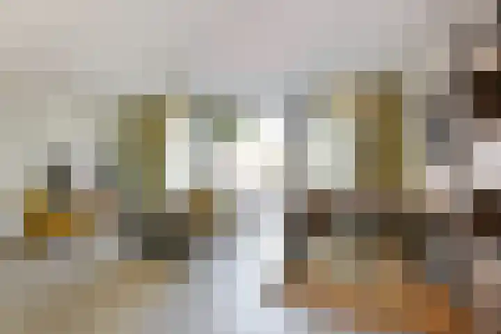 Pelmolenhof 6 Breda thumbnail 29