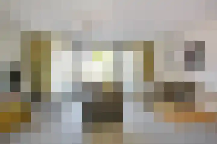 Pelmolenhof 6 Breda thumbnail 30