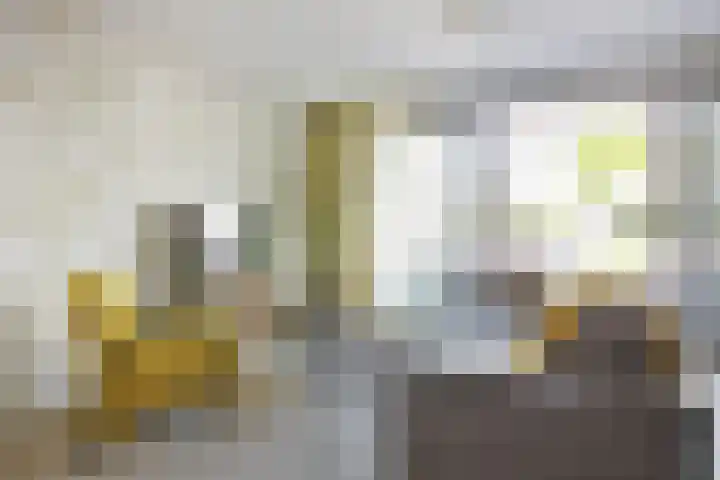 Pelmolenhof 6 Breda thumbnail 31