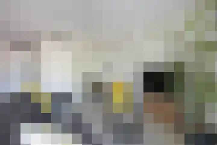 Pelmolenhof 6 Breda thumbnail 32