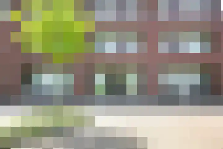Pelmolenhof 6 Breda thumbnail 8