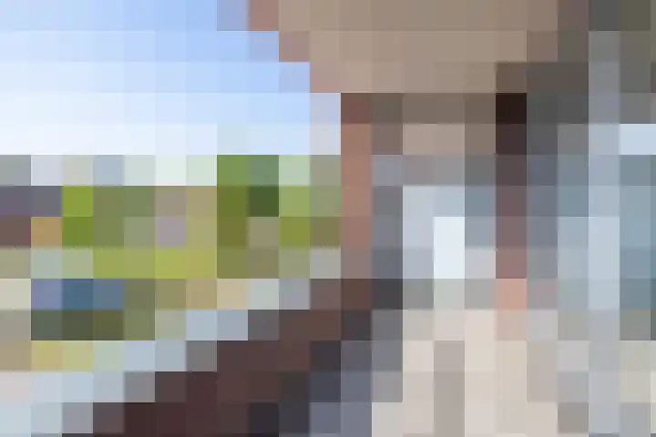 Pelmolenhof 8 Breda thumbnail 18