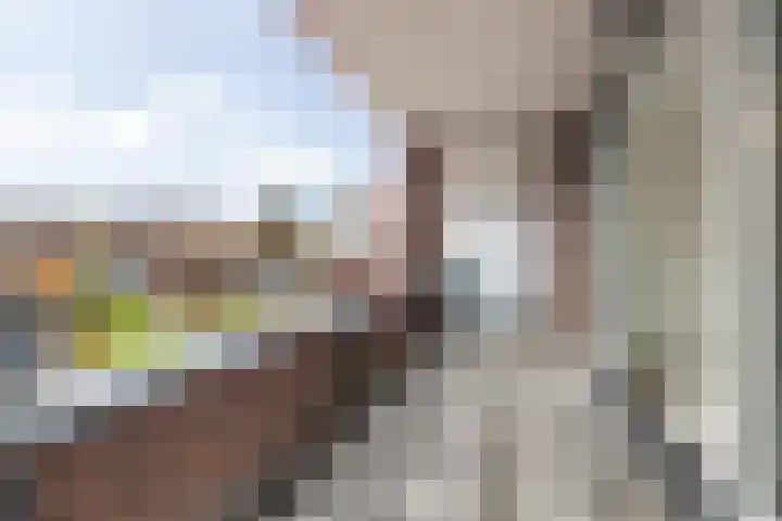 Pelmolenhof 9 Breda thumbnail 24