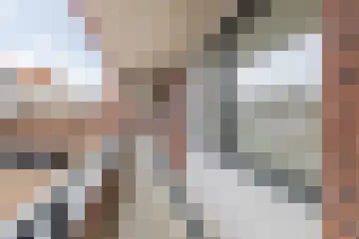 Pelmolenhof 9 Breda thumbnail 8