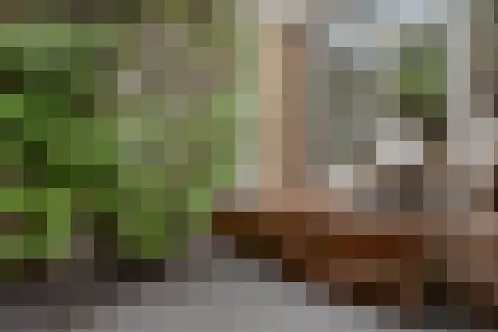 Pelmolenpad 21 Hoorn thumbnail 27