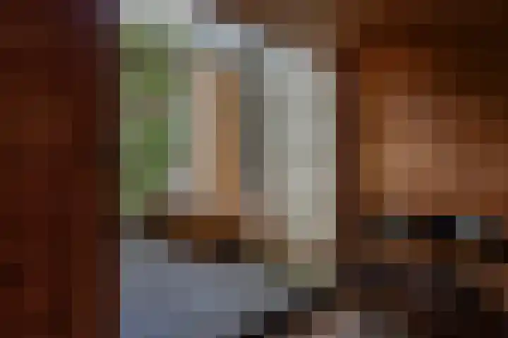 Pelmolenpad 21 Hoorn thumbnail 32