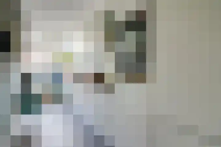 Pelmolenplantsoen 1 Utrecht thumbnail 11