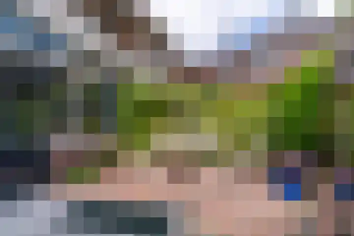 Pelmolenplantsoen 1 Utrecht thumbnail 16