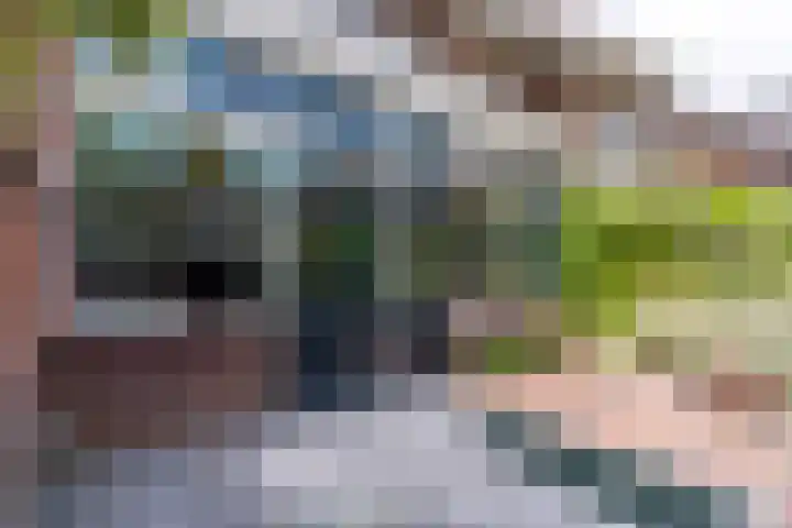 Pelmolenplantsoen 1 Utrecht thumbnail 17