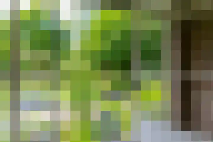 Pelmolenplantsoen 1 Utrecht thumbnail 32