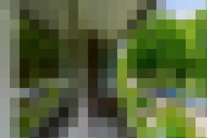 Pelmolenplantsoen 1 Utrecht thumbnail 33