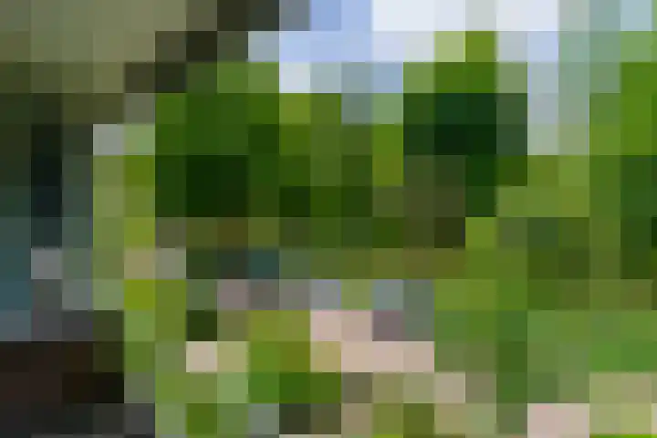 Pelmolenplantsoen 1 Utrecht thumbnail 34