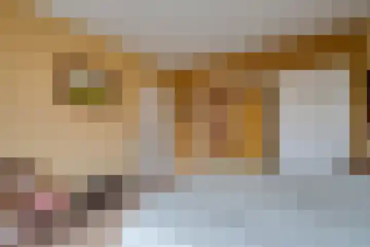 Pelmolenplantsoen 1 Utrecht thumbnail 38