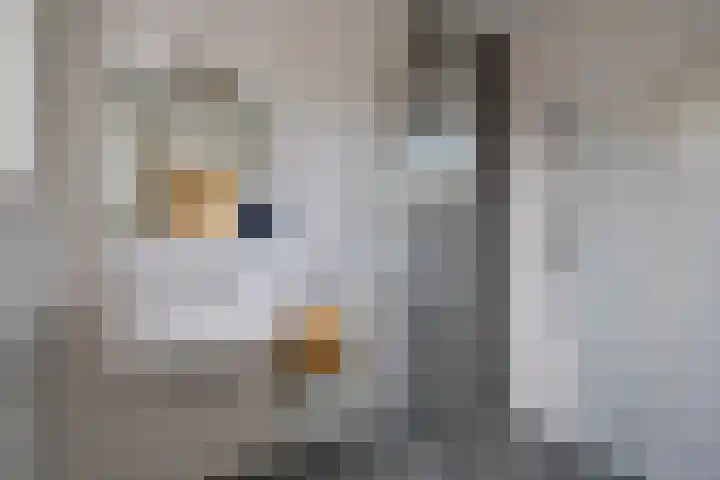 Pelmolenplantsoen 1 Utrecht thumbnail 39