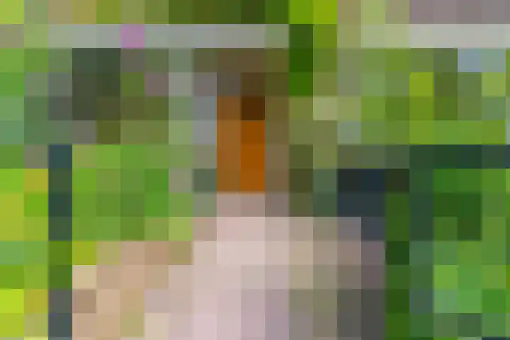 Pelmolenplantsoen 1 Utrecht thumbnail 55