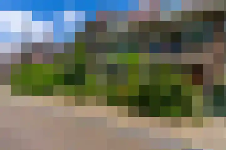 Pelmolenplantsoen 1 Utrecht thumbnail 56