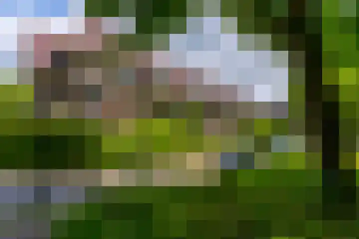 Pelmolenplantsoen 1 Utrecht thumbnail 57