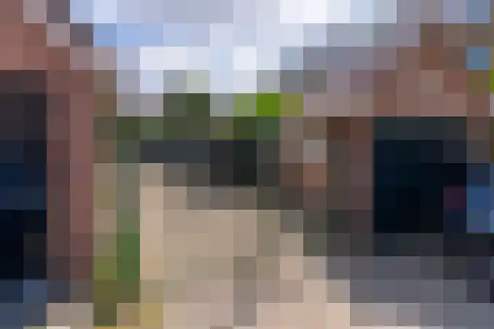 Pelmolenplantsoen 1 Utrecht thumbnail 64