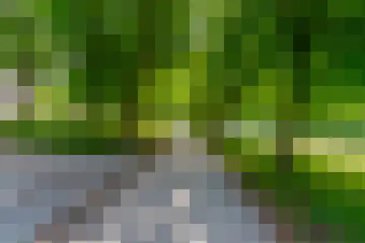 Pelmolenplantsoen 1 Utrecht thumbnail 68