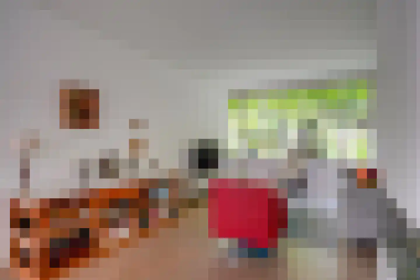 Pelmolenplantsoen 6 Utrecht thumbnail 10