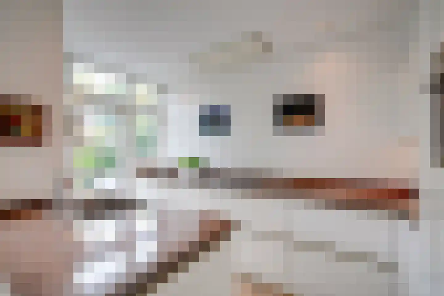 Pelmolenplantsoen 6 Utrecht thumbnail 18