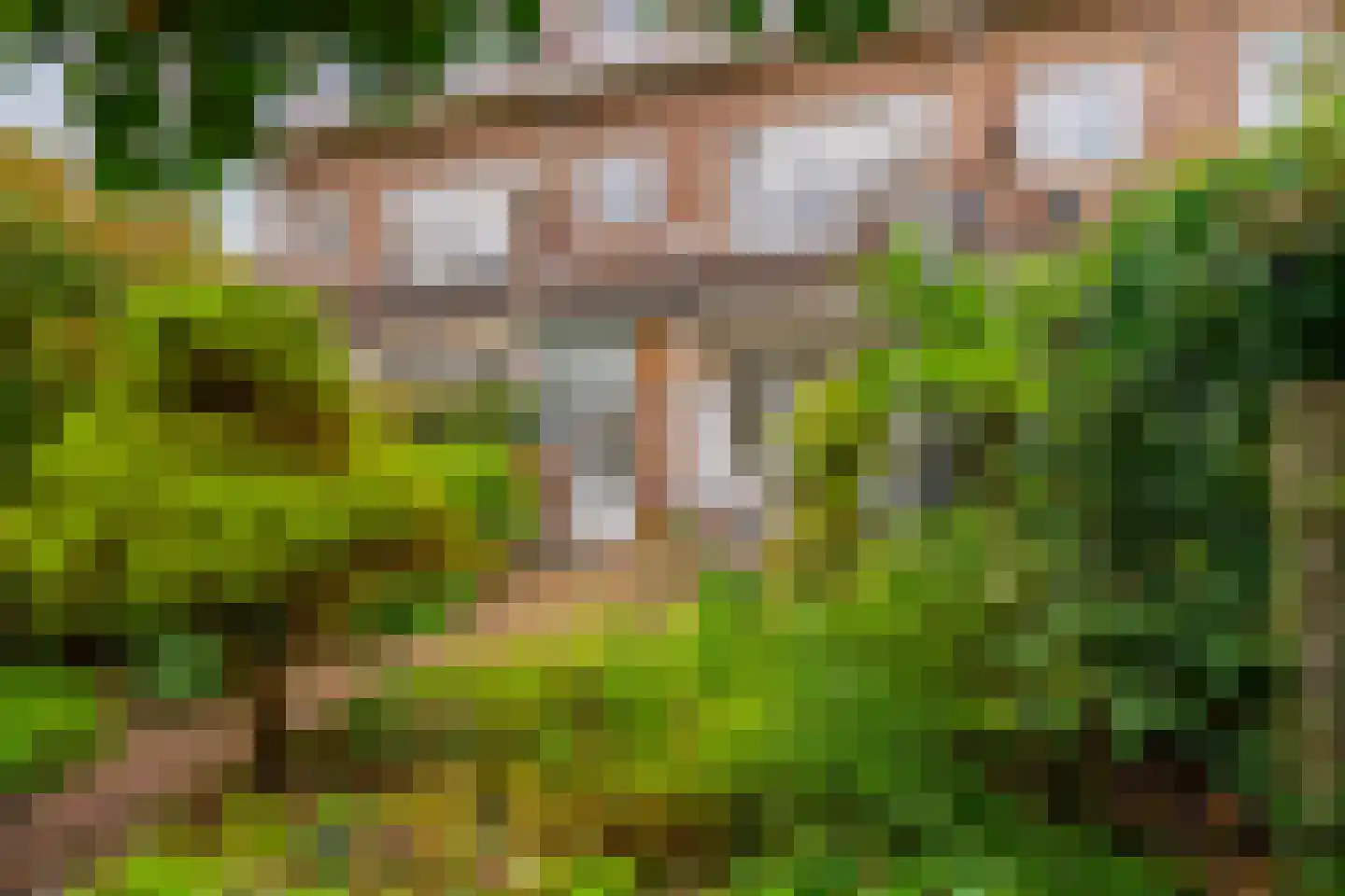Pelmolenplantsoen 6 Utrecht thumbnail 25
