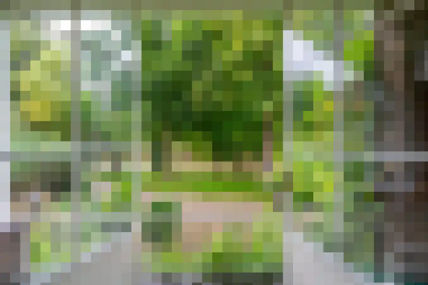 Pelmolenplantsoen 6 Utrecht thumbnail 35