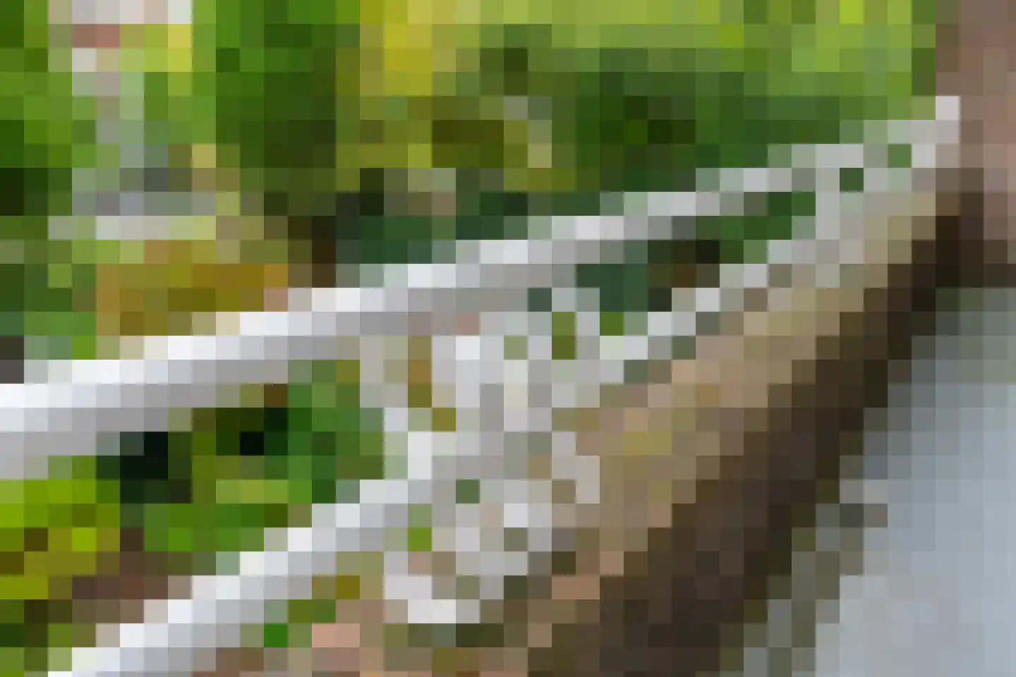 Pelmolenplantsoen 6 Utrecht thumbnail 40