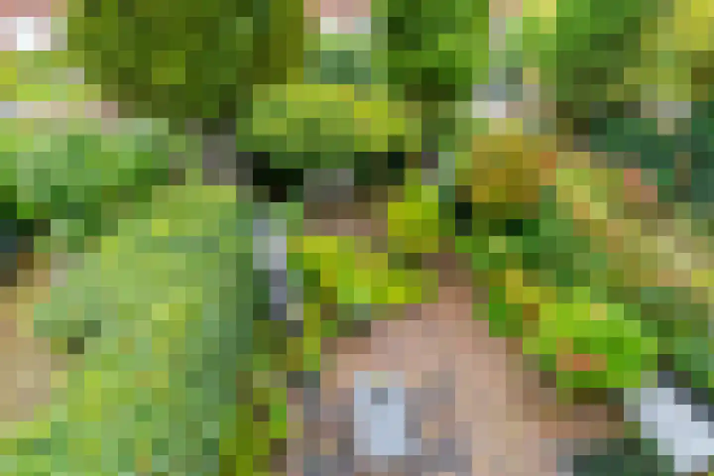 Pelmolenplantsoen 6 Utrecht thumbnail 41