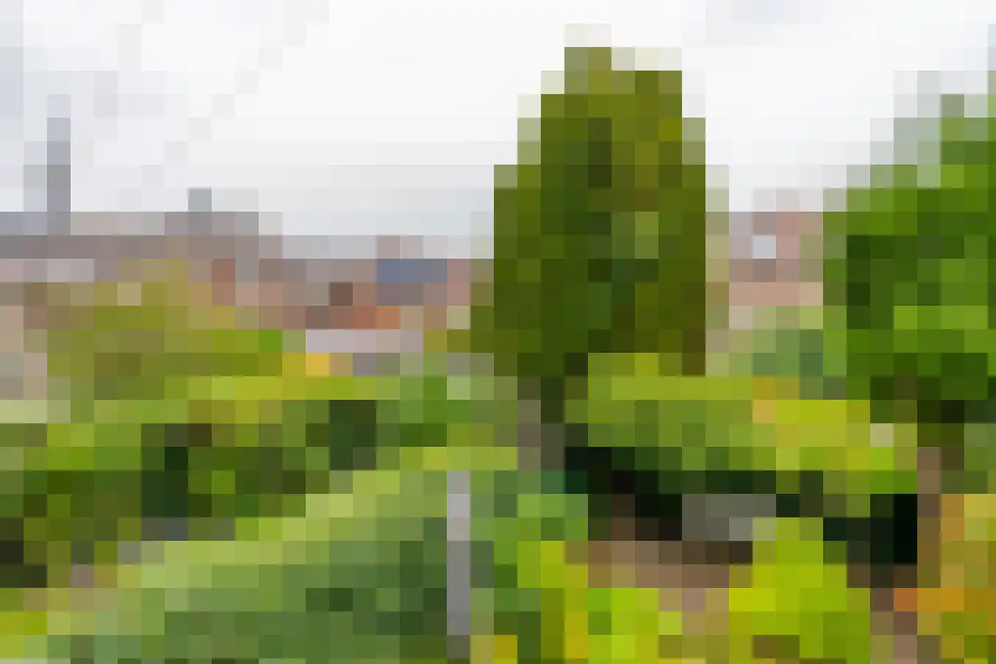 Pelmolenplantsoen 6 Utrecht thumbnail 42