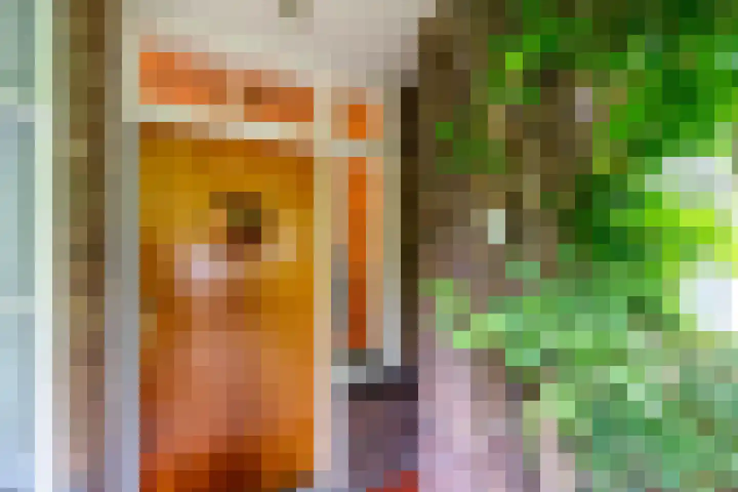 Pelmolenplantsoen 6 Utrecht thumbnail 5