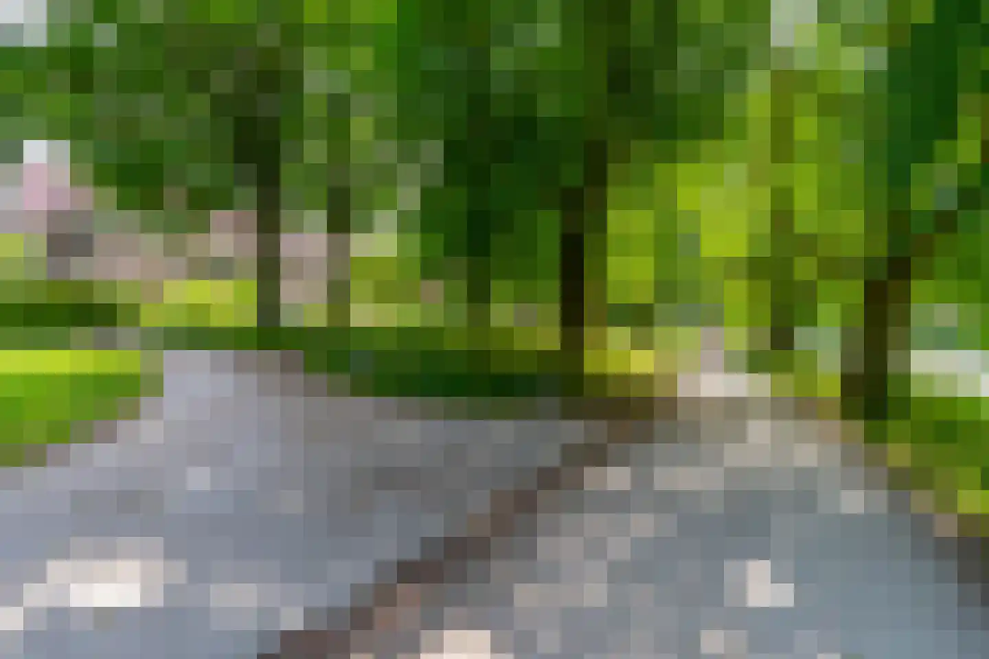 Pelmolenplantsoen 6 Utrecht thumbnail 59