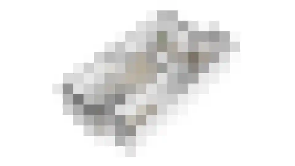 Pelmolenplantsoen 6 Utrecht thumbnail 65