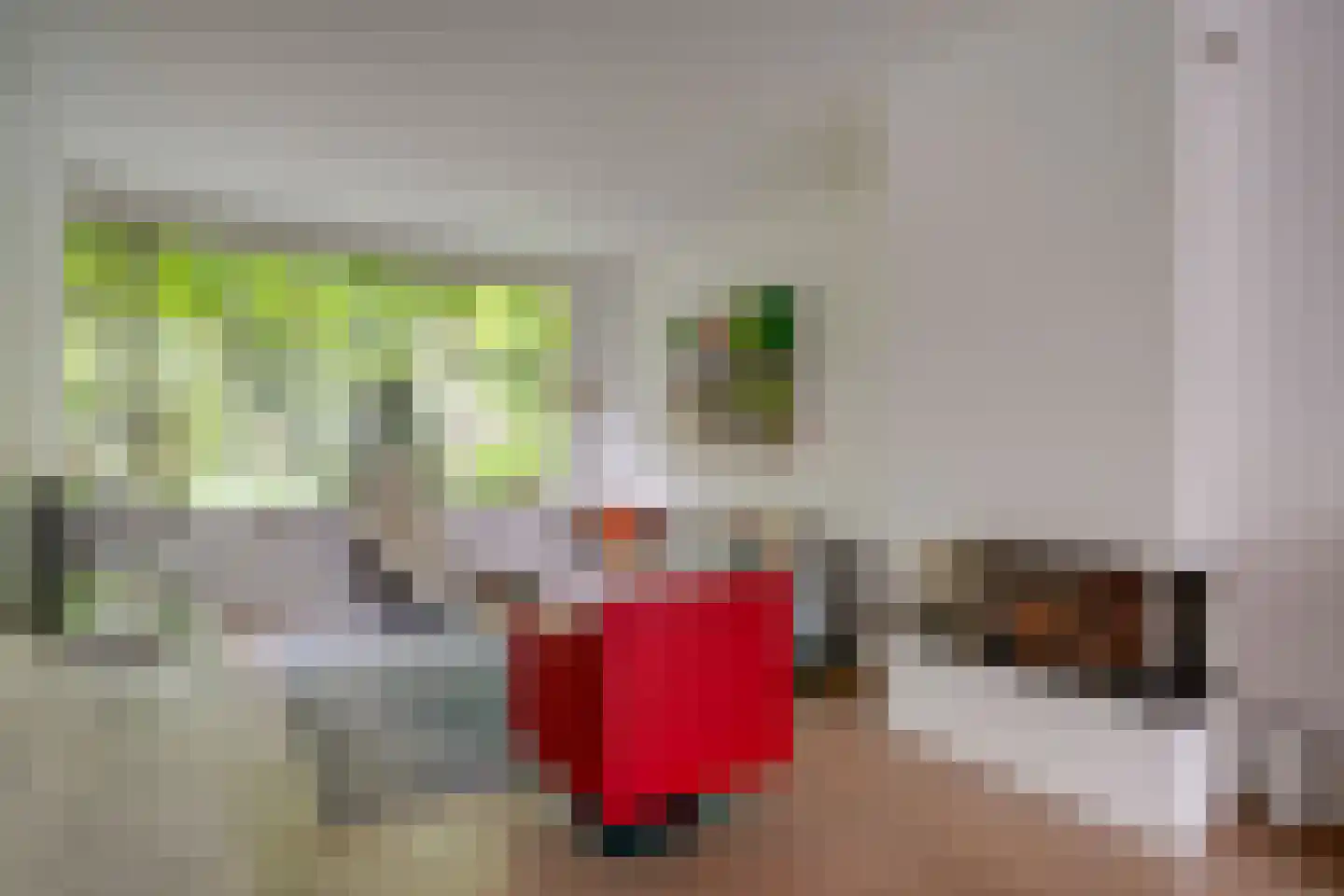 Pelmolenplantsoen 6 Utrecht thumbnail 9
