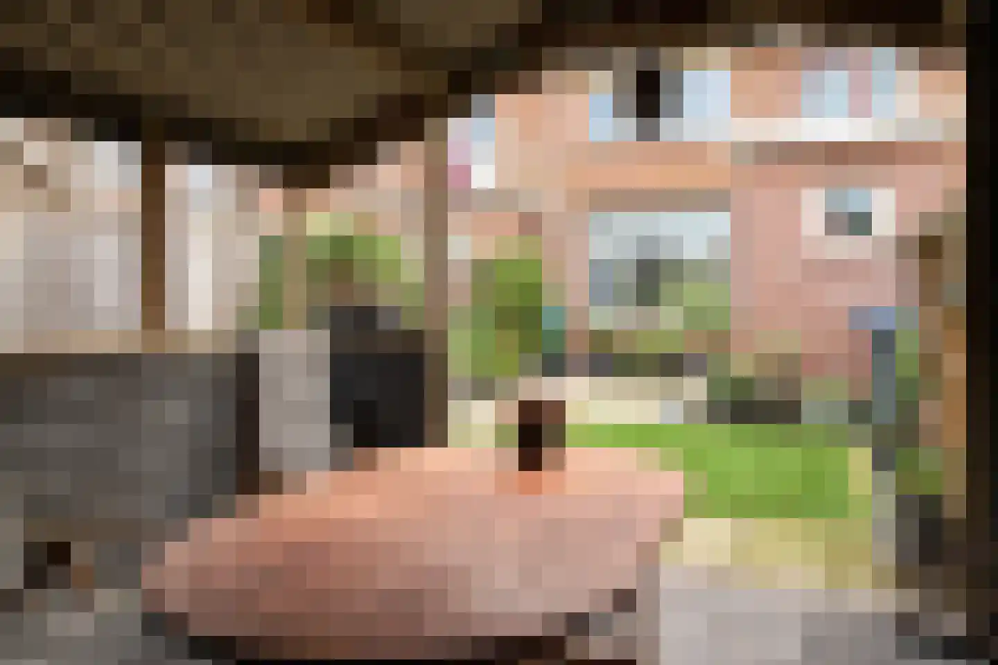 Pelmolensstraat 22 Joure thumbnail 11