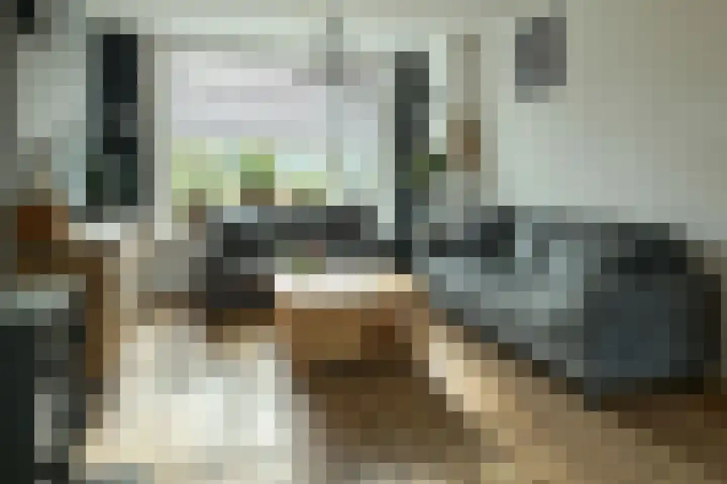Pelmolensstraat 22 Joure thumbnail 15