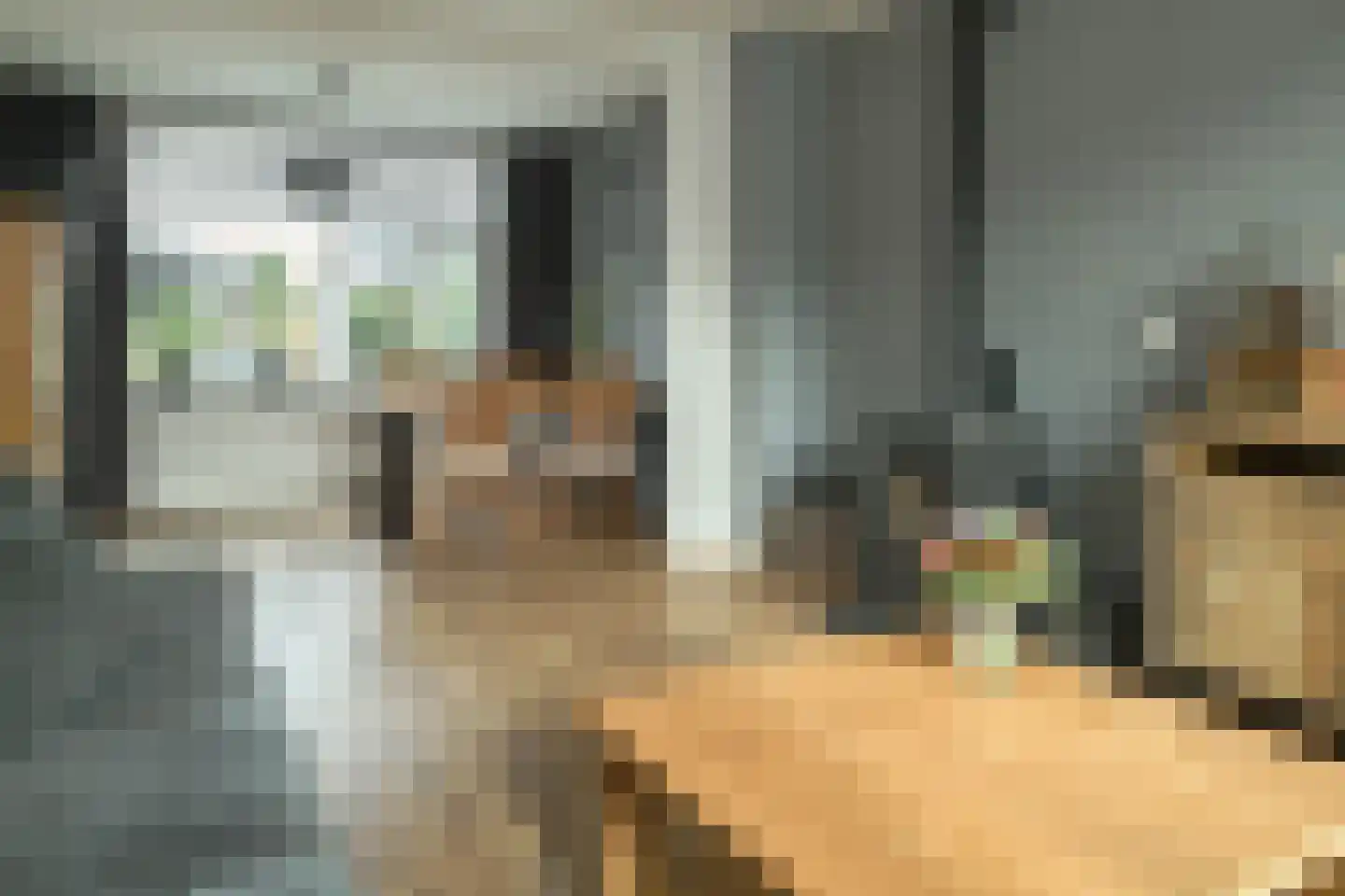 Pelmolensstraat 22 Joure thumbnail 16
