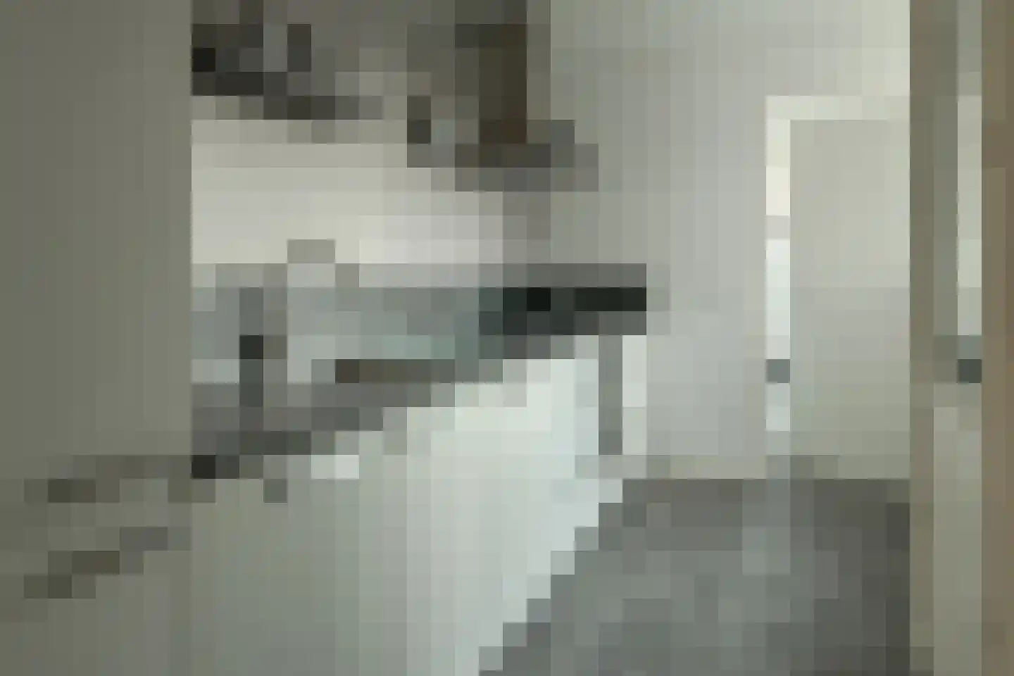 Pelmolensstraat 22 Joure thumbnail 18