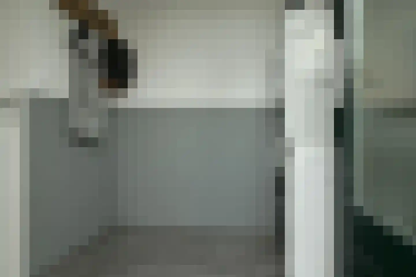 Pelmolensstraat 22 Joure thumbnail 19