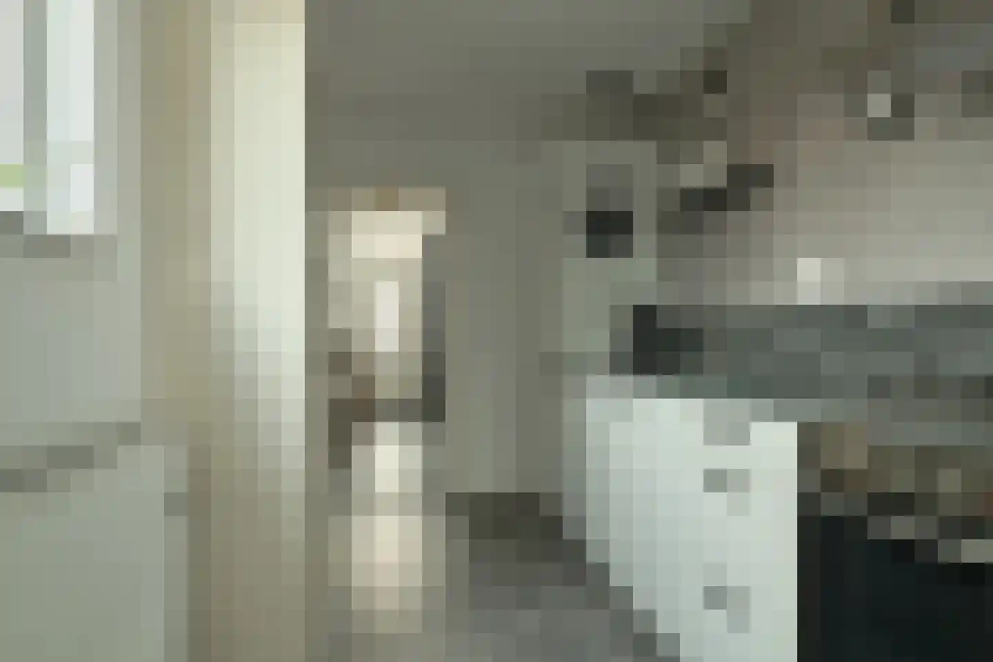 Pelmolensstraat 22 Joure thumbnail 20